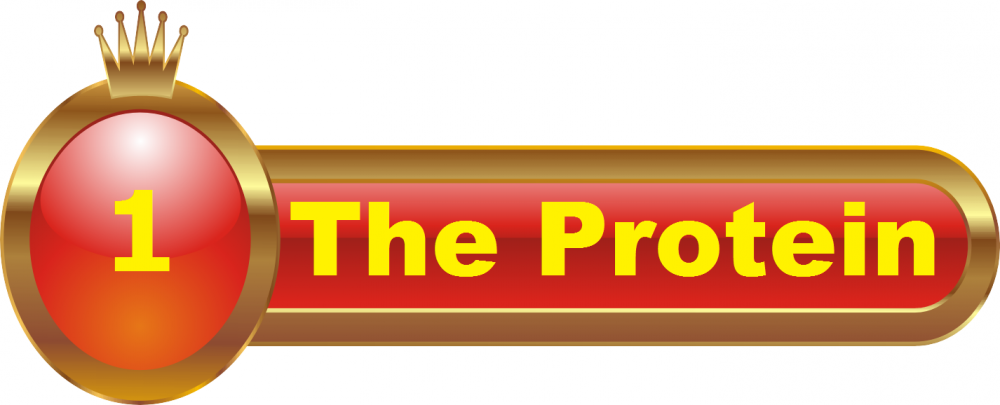 Protein-The King of Macro-nutrients
